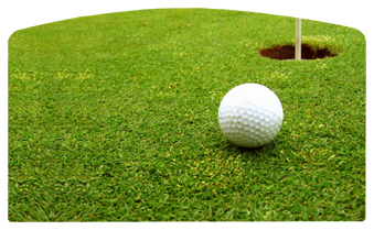 DACRO-342 Gone Golfing (Balls)